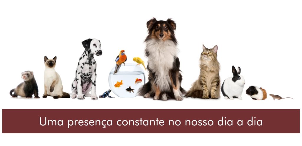 Bens Para Animais De Estimação Conjunto De ícones Impressão Do