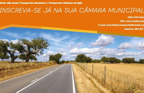 (Português) Passes Rodoviários mais baratos