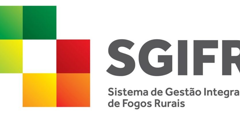Rascunho automático 764