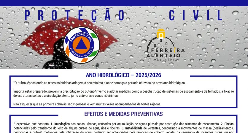 Rascunho automático 779