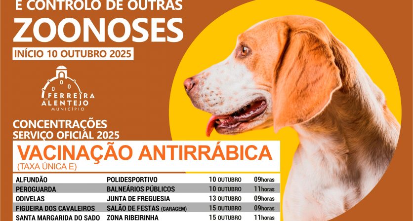 Rascunho automático 792
