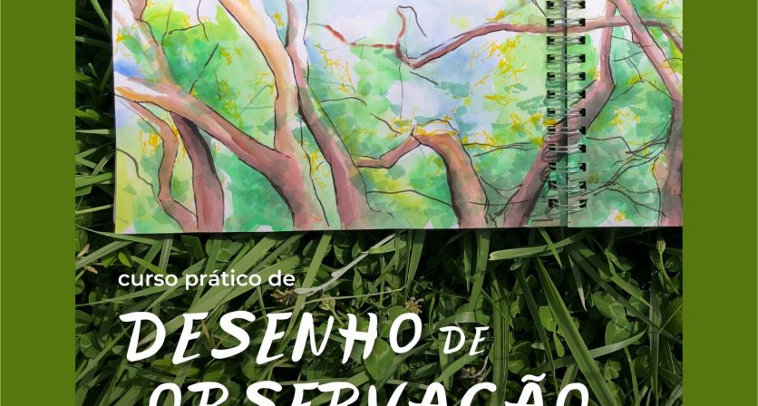 Rascunho automático 793