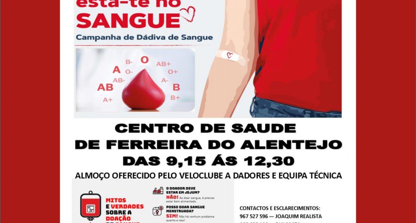 Rascunho automático 843