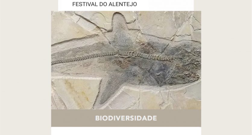 Agenda Semanal | De 10 a 16 de abril 7